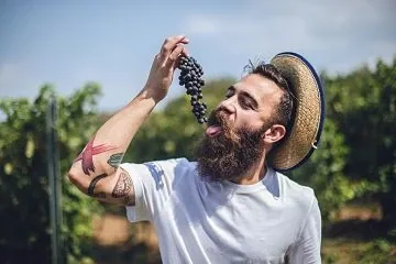 Гастрономическая дипломатия