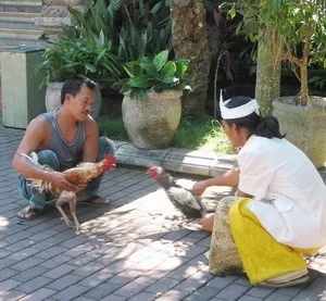Tourism Amid the Roar of Cannonade