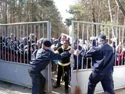 Каждый пятый - гастарбайтер