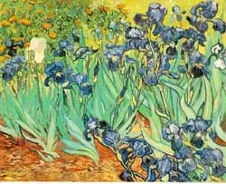 Van Gogh, Pinocchio and the Cursed Rib