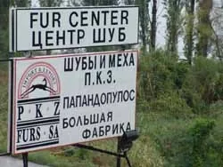 Путешествие за шубой
