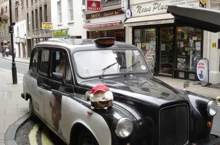 Features of Foreign Taxis