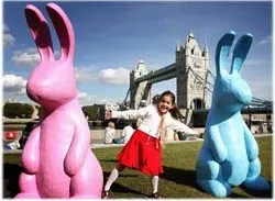 UK residents taught to breed rabbits