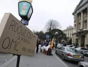 Problems of Immigration in France