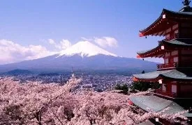 Don't climb Mount Fuji