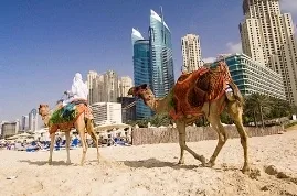 Путешествие в страну мечты