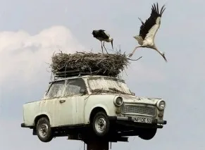 Веселых новостей много не бывает