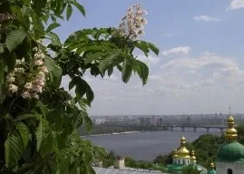 Немного из истории Киева