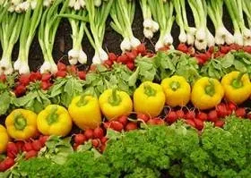 Vegetarianism – the key to health