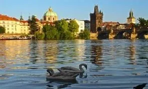 Купівля готового бізнесу в Чехії