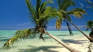 Holiday in the Dominican Republic: A Few Days Spent in a Tropical Paradise