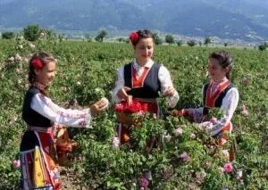 Главные фишки в турах в Болгарию из Москвы