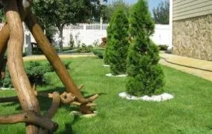Обустройство загородного участка