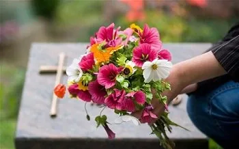 Эмигрантские связи
