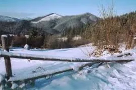 Відпочинок у Карпатах